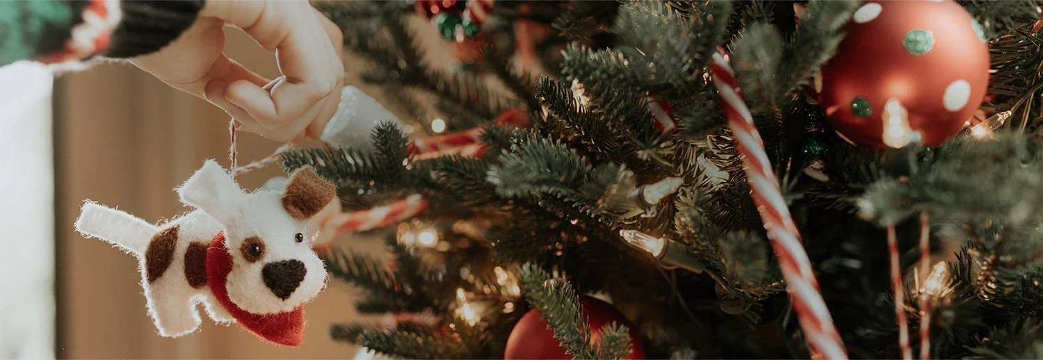 Decorate with Purpose This Season